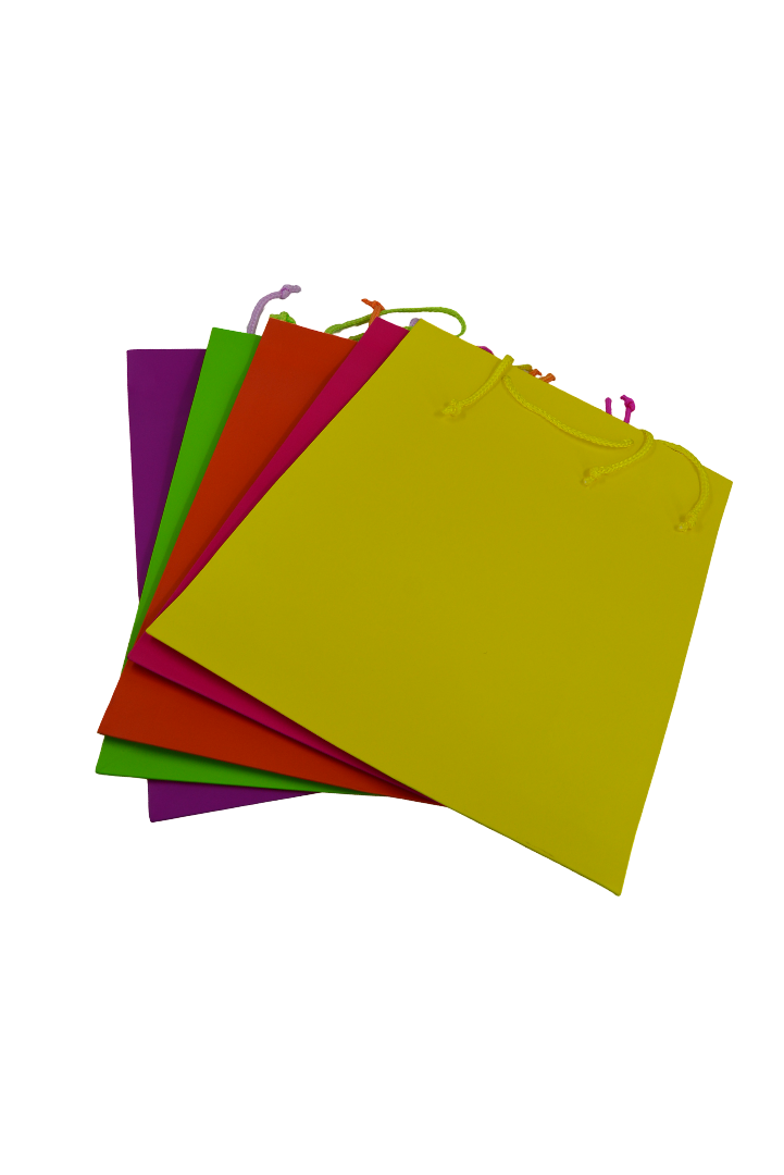 Colored Paper Gift Bag 26×32×12 (Assorted Designs, Sold as Single)