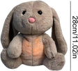 Plush Pet Bunny