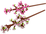 LEGO Botanicals Cherry Blossoms 40725 Building Kit 430 Pieces