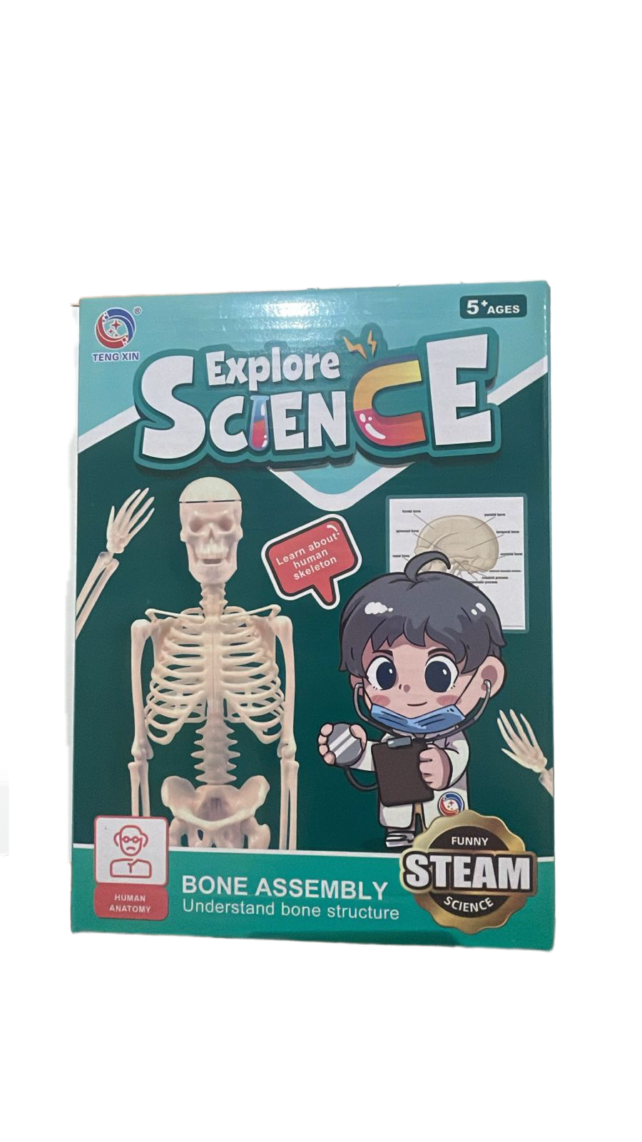 Bone Assembly Explore Science Kit