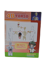 Torso Human Anatomy 4D