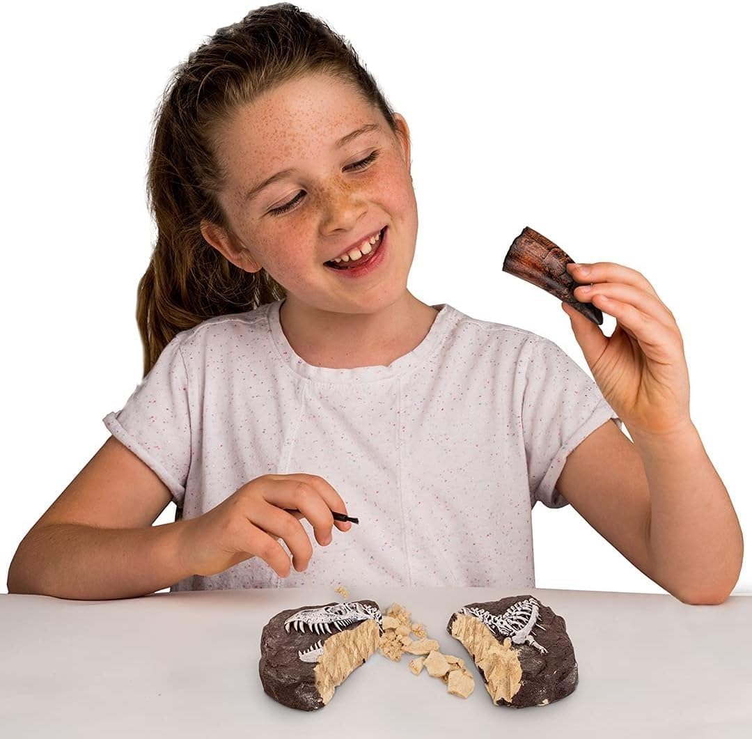 National Geographic Dino Fossil Dig Kit