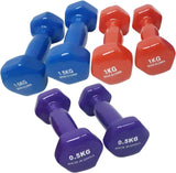 Dumbbells Weights Set Size 0.5kg 1kg 1.5kg Hand Workout Exercise Colour Blue Purple Red 6 Piece Set for Yoga Aerobics Home Fitness Exercise