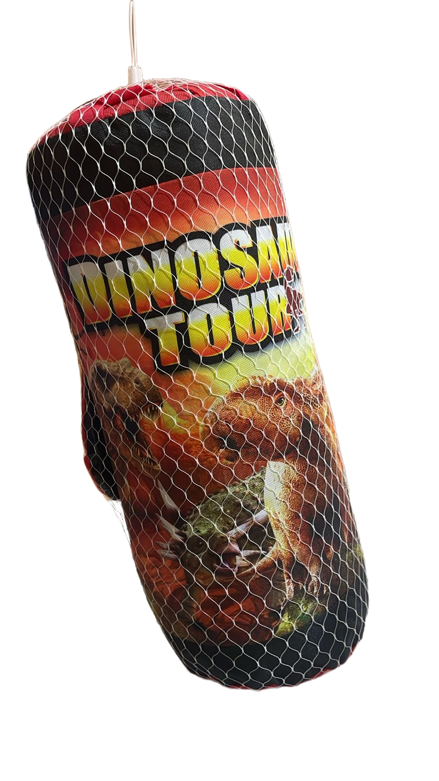 Boxing Set with Dinosaur Theme
