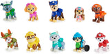 Paw Patrol 10th Anniversary All Paws Gift Set