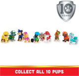 Paw Patrol 10th Anniversary All Paws Gift Set