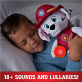 Paw Patrol Snuggle Up Marshall Lights And Sounds Plush