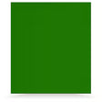 Dark Green Chart Paper 50x70 cm heavyweight 230gsm sheet for school posters and crafts