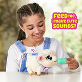 Little Live Pets - My Pet Lamb | Soft and Wooly Interactive Toy Lamb That Walks, Dances 20+ Sounds & Reactions, Batteries Included, for Kids Ages 5+,