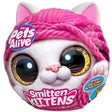 Links to Pets Alive Smitten Kittens Series 1 Interactive Plush Bulk 8pcs by pets-alive-smitten-kittens-series-1-interactive-plush-bulk-8pcs