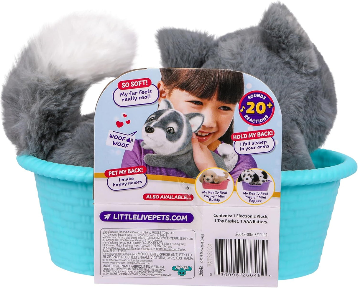 Little Live Pets My Really Real Mini Puppy Aurora