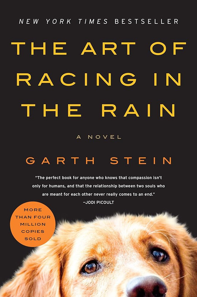 Book cover image of The Art of Racing in the Rain: A Novel