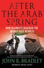 Book cover image of After the Arab Spring: How Islamists Hijacked The Middle East Revolts