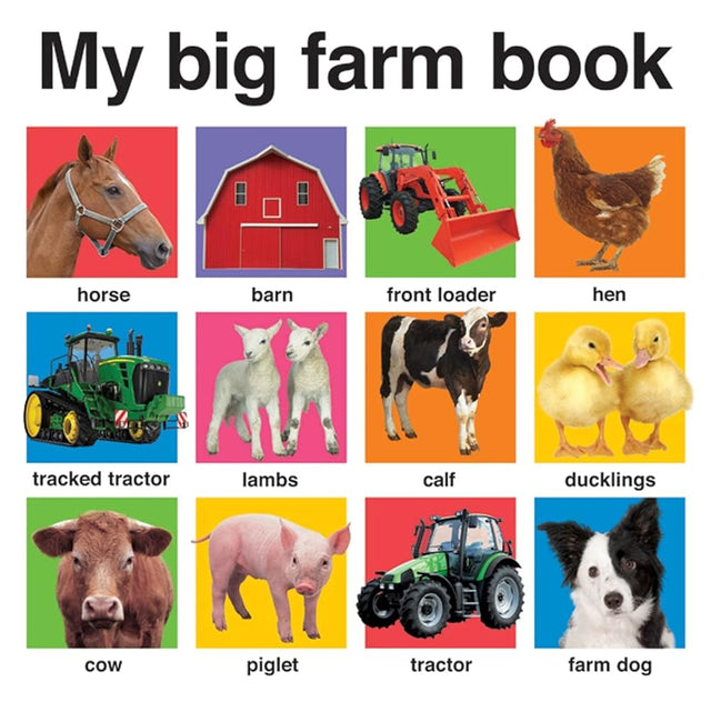 Book cover image of My Big Farm Book (My Big Board Books)