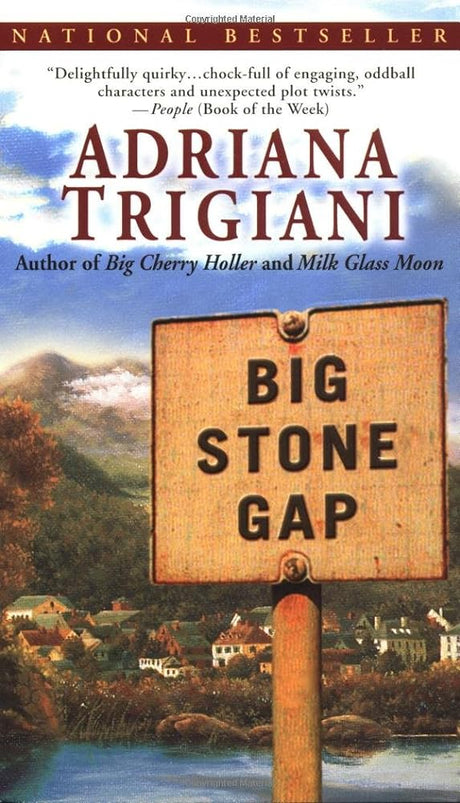 Book cover image of Big Stone Gap