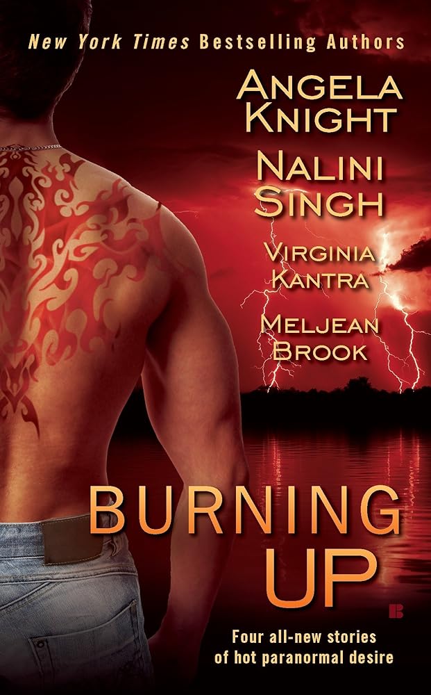 Book cover image of Burning Up (Berkley Sensation)