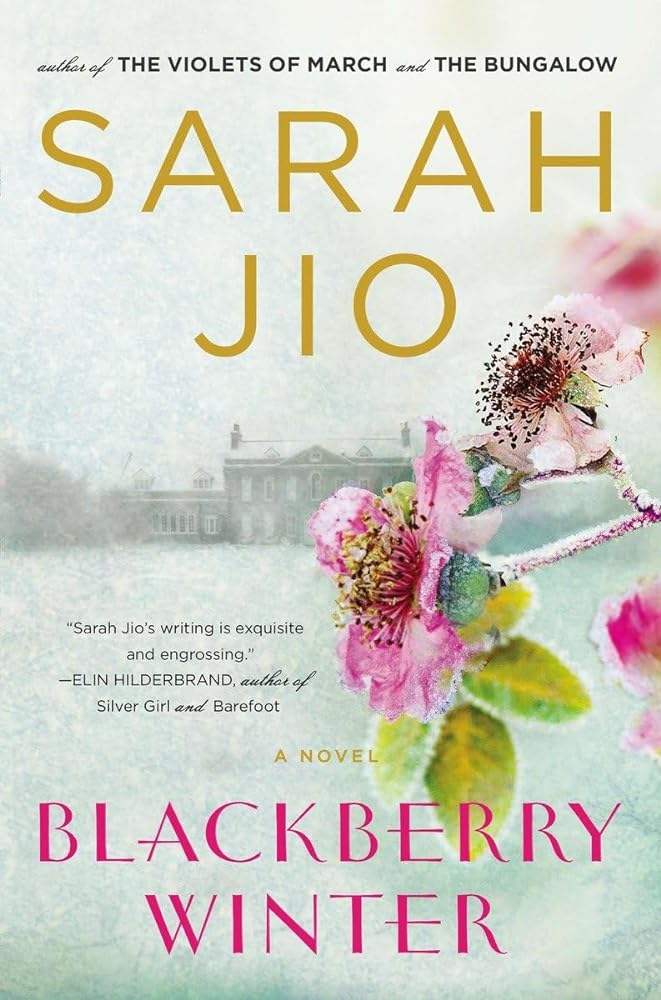 Book cover image of Blackberry Winter: A Novel