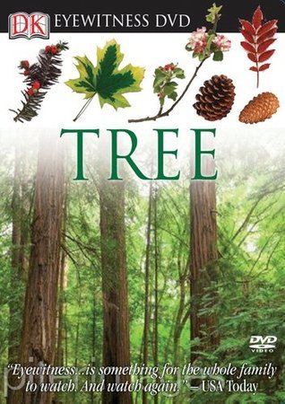 Book cover image of Tree (Eyewitness DVD)