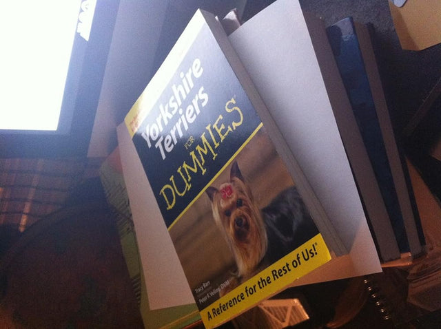 Book cover image of Yorkshire Terriers For Dummies