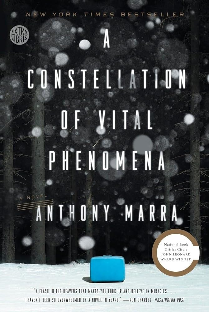 Book cover image of A Constellation of Vital Phenomena: A Novel