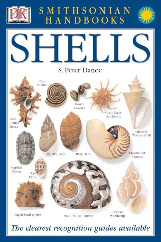 Book cover image of Handbooks: Shells: The Clearest Recognition Guide Available (DK Smithsonian Handbook)