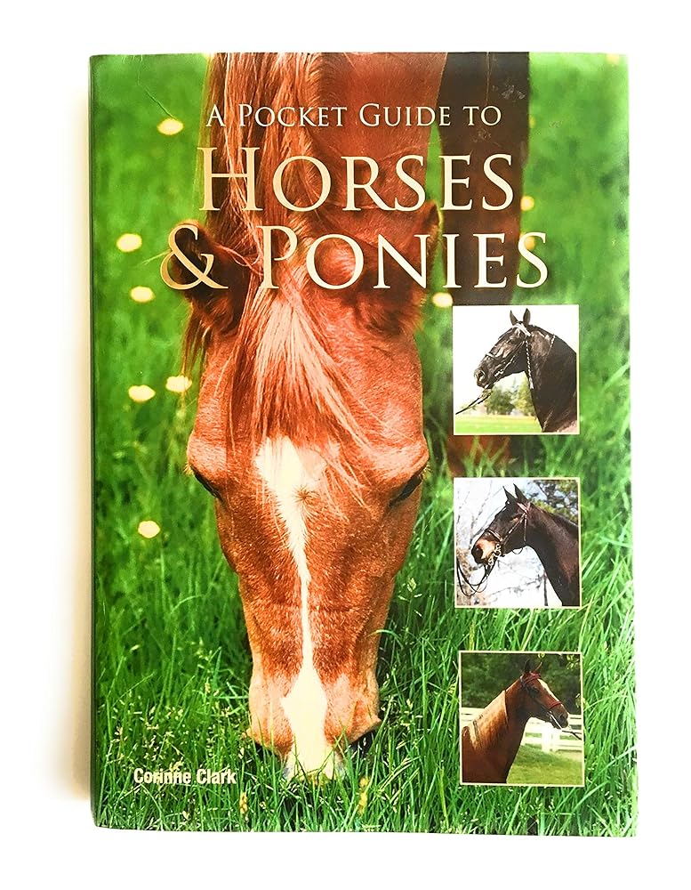 Guide Ponies A Pocket Guide to Horses & Ponies – Funzone