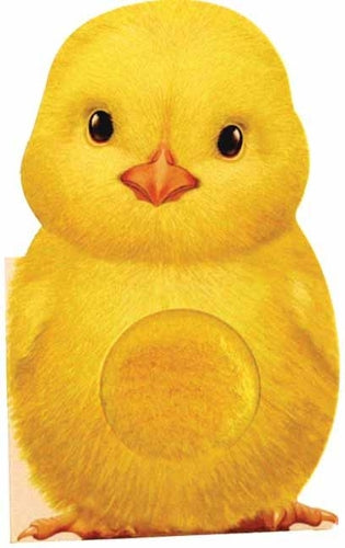 Furry Chick: A Mini Touch And Feel Book For Baby And Toddler