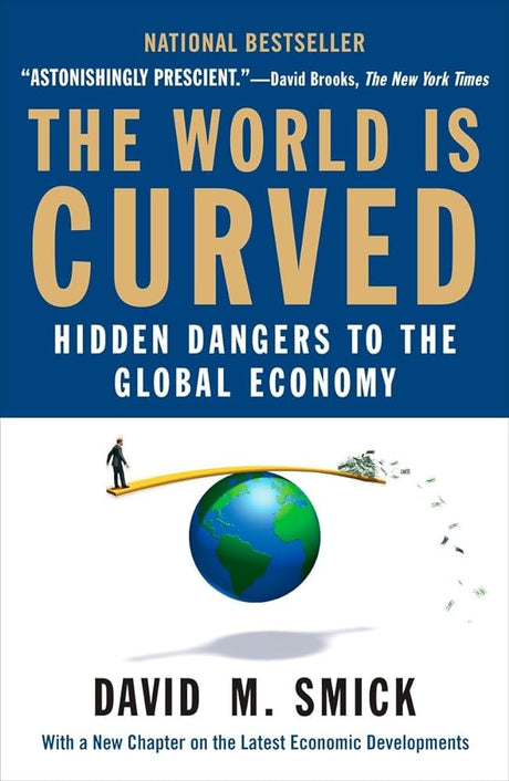 The World Is Curved: Hidden Dangers to the Global Economy - product image