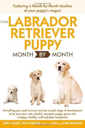 Your Labrador Retriever Puppy Month By Month - product image