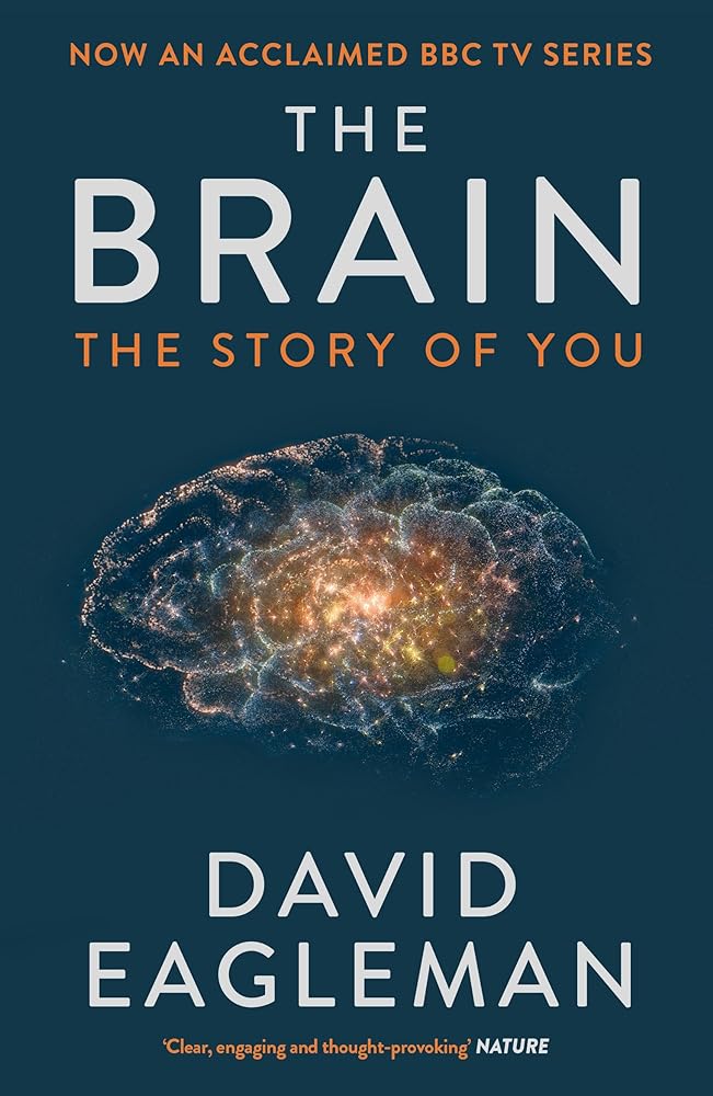 Brain - product image