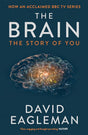 Brain - product image