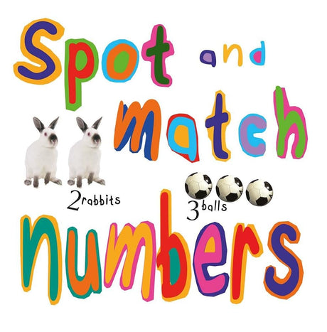 Spot and Match Numbers - product image