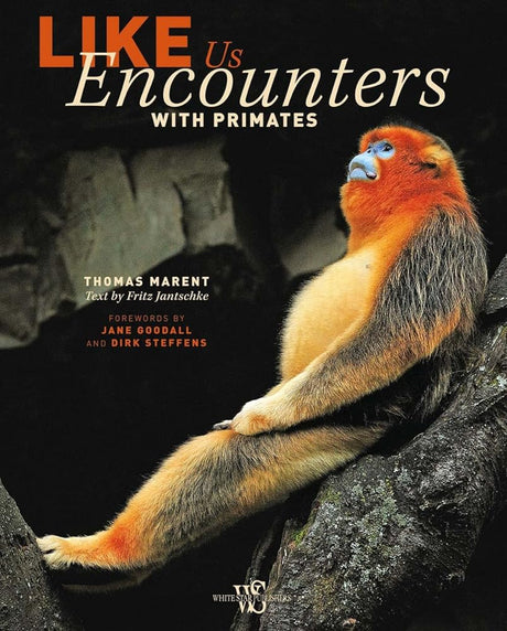 Book cover image of Like Us: Encounters with Primates