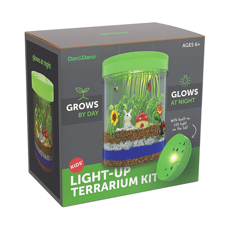 Dan & Darci Light-Up Terrarium Kit