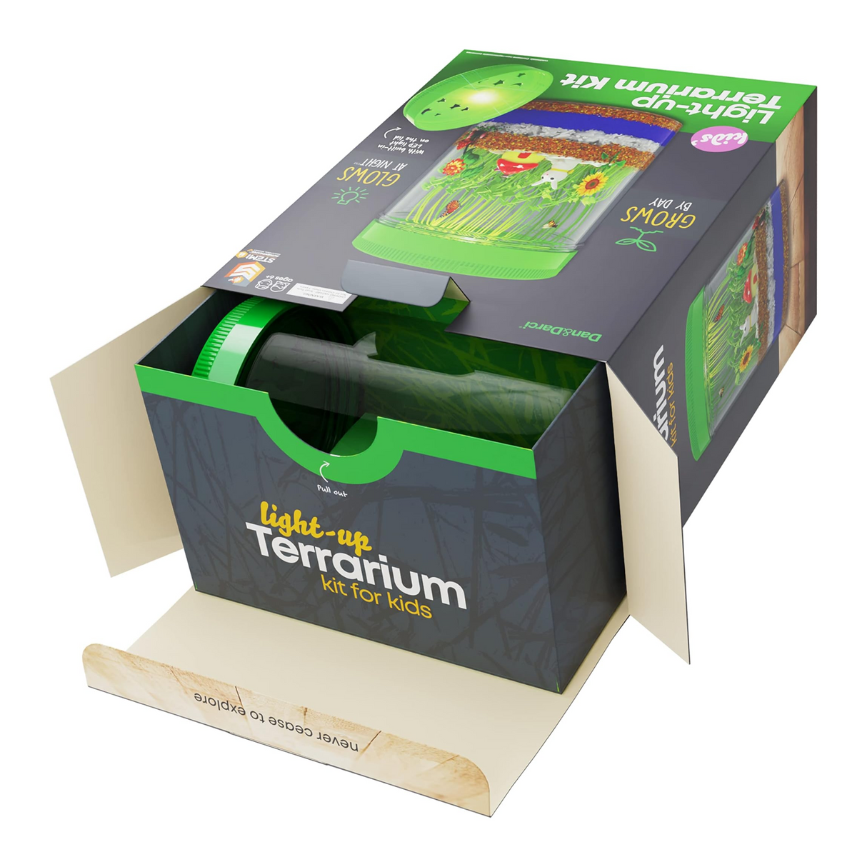 Dan & Darci Light-Up Terrarium Kit