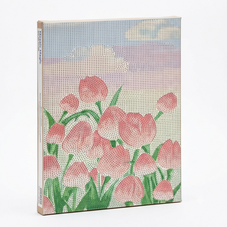 Roses Diamond Painting Set 30x40cm DIY Crystal Art Kit for Adults