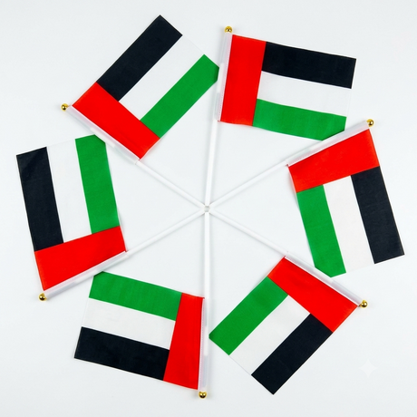 UAE Flag 6 Pcs United Arab Emirates National Flags