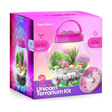 Dan & Darci Light-Up Unicorn Terrarium Kit