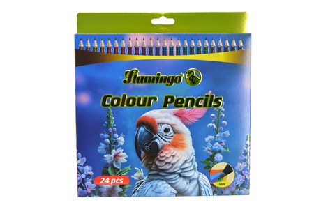 Flamingo Colour Pencils - 24 Colours
