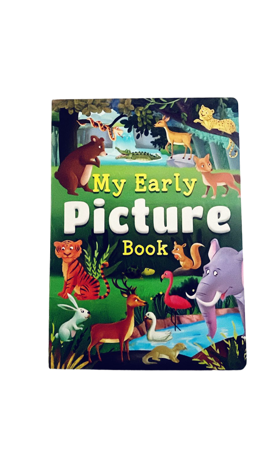 My Early Picture Book