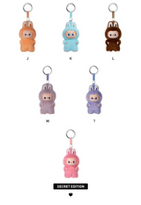 Labubu Pin for Love A-M Single Blind Box