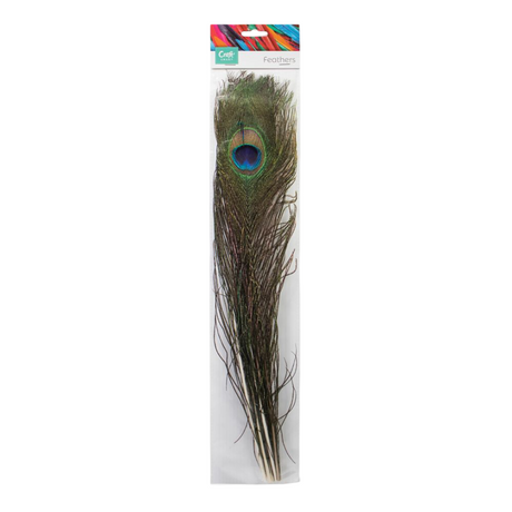 Peacock Feather Craft Set