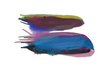 Feather Set