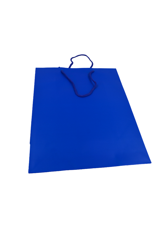 Blue Paper Gift Bag 26×32×12 (Assorted Designs, Sold as Single)
