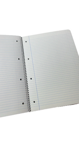 A4 Hardcover Spiral Notebook – 80 Sheets, 90 GSM, Lined – Birds Design