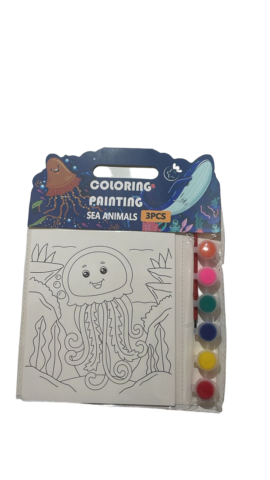 Colouring Paint Set (2 Assorted)