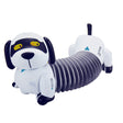 Links to FOLLOW THE DACHSHUND by 