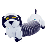 Links to FOLLOW THE DACHSHUND by 