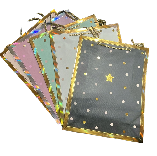 Gift Bag with Gold Border Assorted Colors