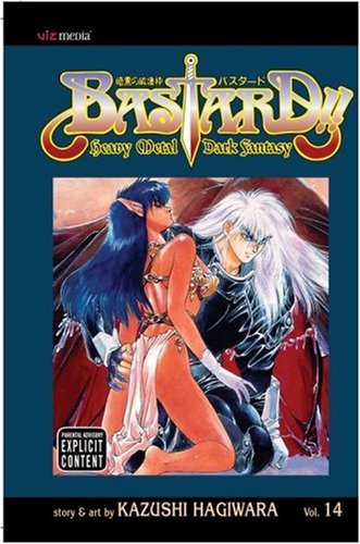 Cover image of Bastard!! Heavy Metal, Dark Fantasy, Vol. 14